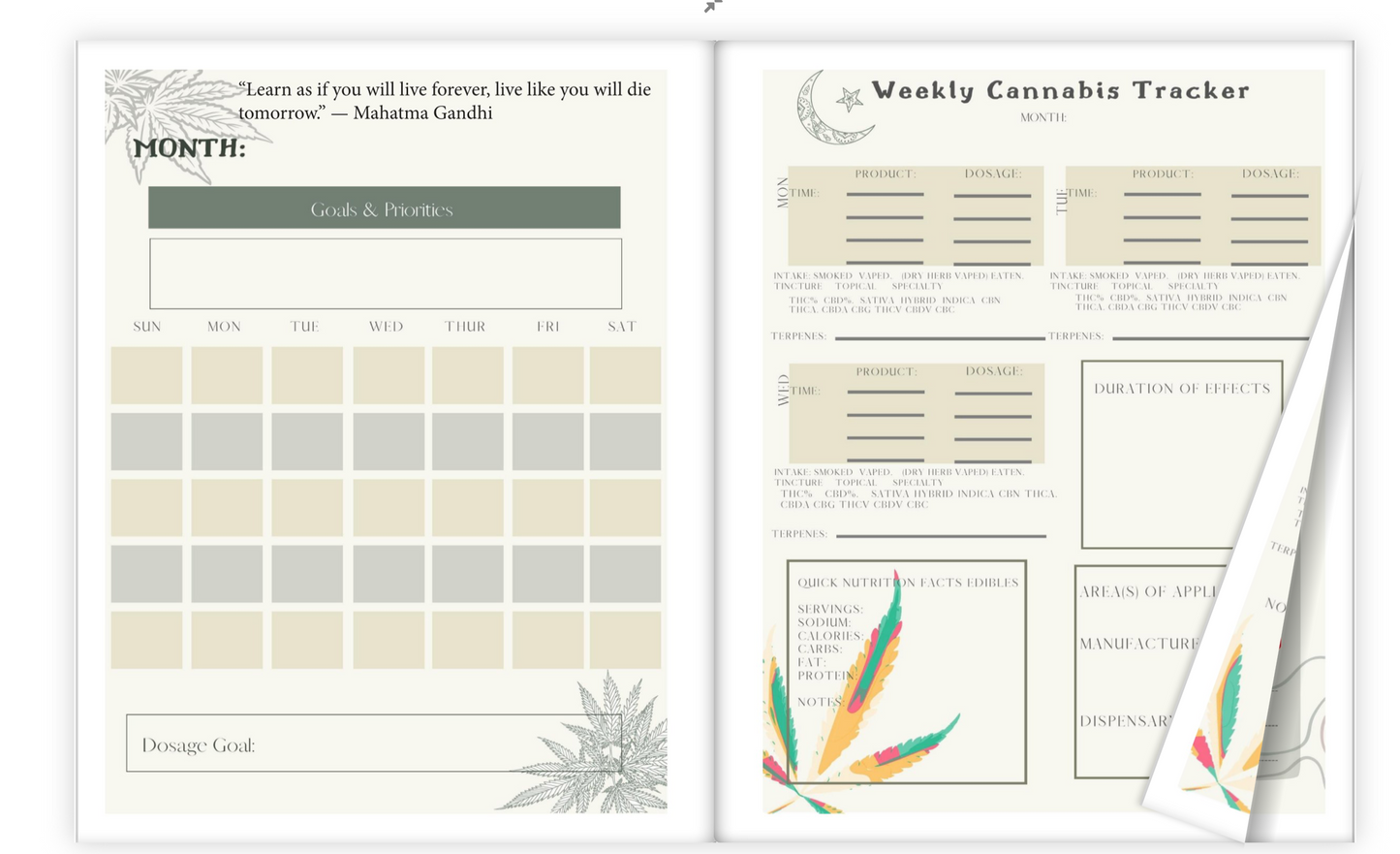 PRE-ORDER: Patient Journey: Adult Cannabis Journal