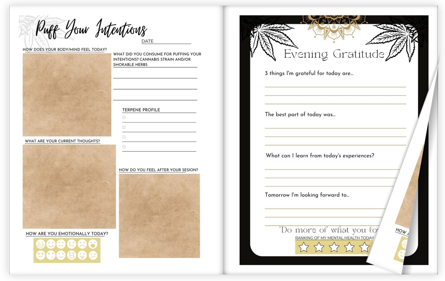 PRE-ORDER: Puff Intentions Gratitude Journal 8x10